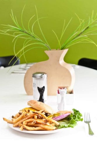 Product Photography Sample